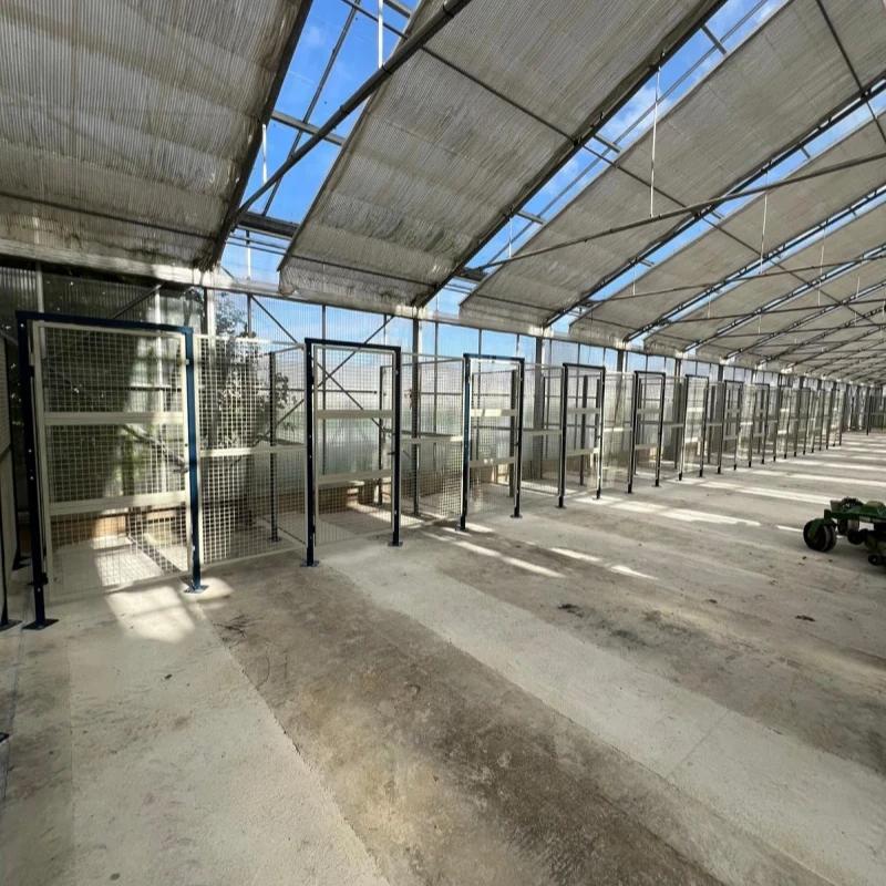 Hexagone Rayonnage Vente De Rayonnage A Orleans Grillages 2 1